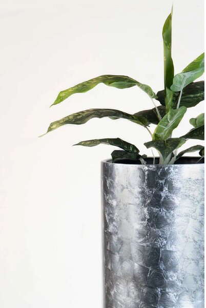 Exkluzívny kvetináč SOLERIO, sklolaminát, výška 120 cm, strieborný lesk