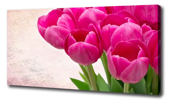 Moderný obraz canvas na ráme Ružové tulipány