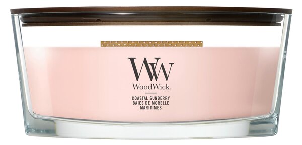 VONNÁ SVIEČKA WoodWick - Sviečky & svietniky