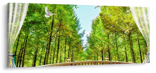Obraz - Výhľad na les (120x50 cm)