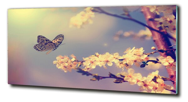 Foto-obraz fotografie na skle Kvet Visty a motýľ