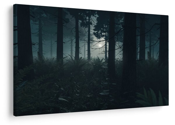 Obraz - Paprade v mesačnom svite (90x60 cm)