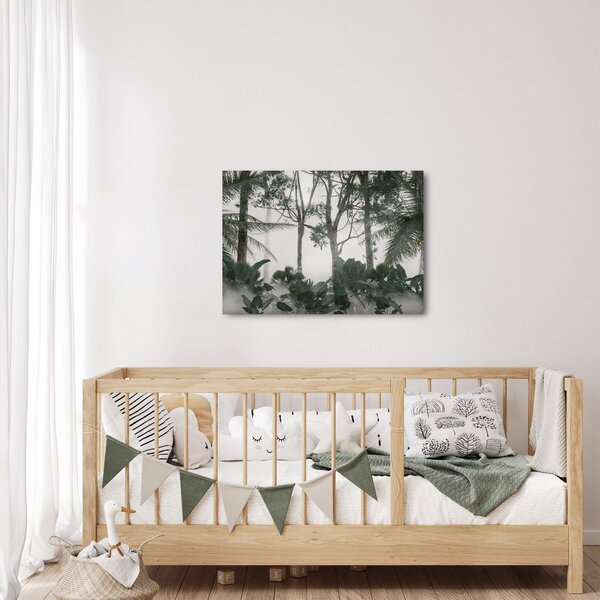 Obraz - Jungle v rannej hmle (70x50 cm)