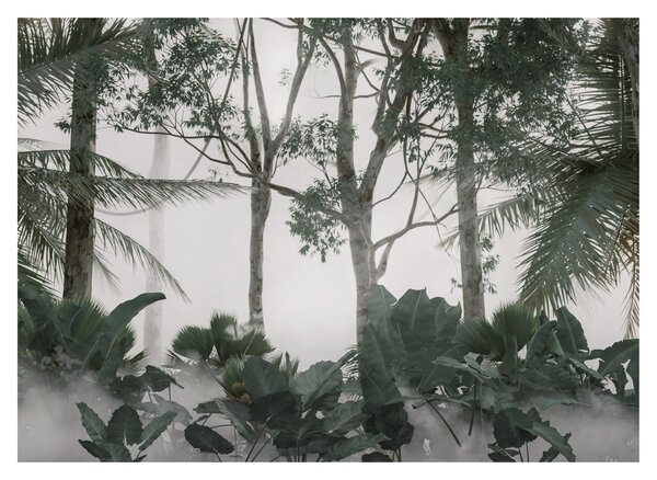 Obraz - Jungle v rannej hmle (70x50 cm)