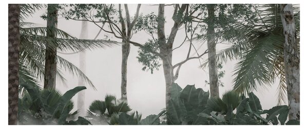 Obraz - Jungle v rannej hmle (120x50 cm)