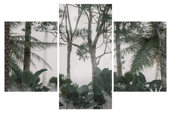 Obraz - Jungle v rannej hmle (90x60 cm)