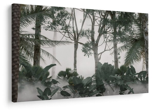 Obraz - Jungle v rannej hmle (90x60 cm)