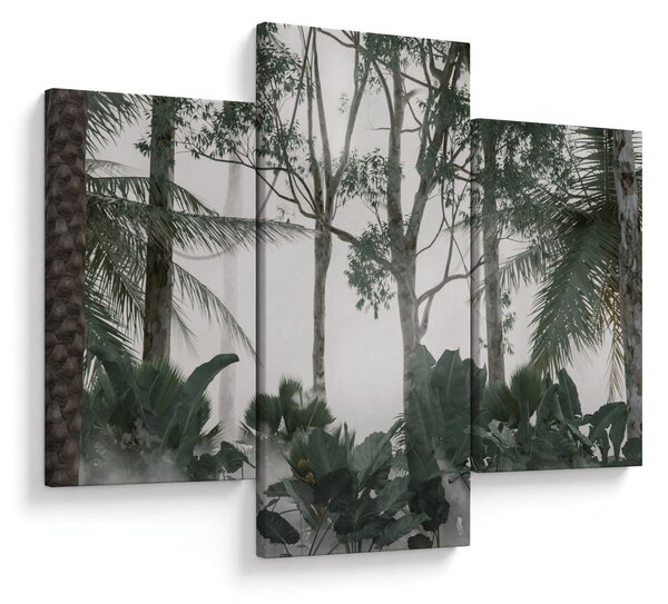Obraz - Jungle v rannej hmle (90x60 cm)