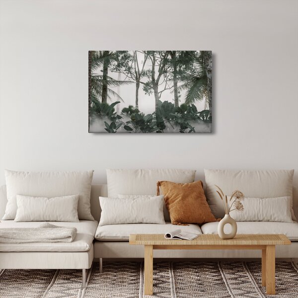 Obraz - Jungle v rannej hmle (90x60 cm)