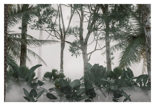 Obraz - Jungle v rannej hmle (90x60 cm)