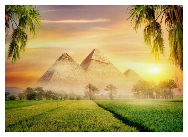 Obraz - Pyramídy (70x50 cm)