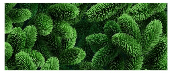 Obraz - Vetvičky ihličnanu (120x50 cm)