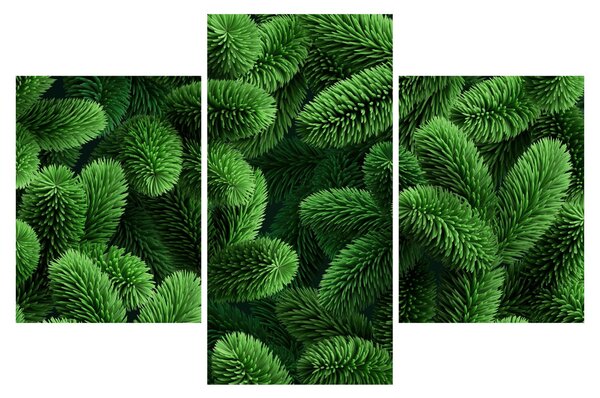 Obraz - Vetvičky ihličnanu (90x60 cm)