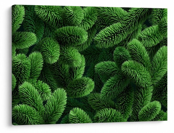 Obraz - Vetvičky ihličnanu (70x50 cm)