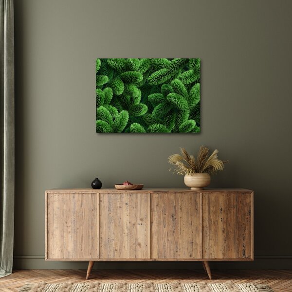 Obraz - Vetvičky ihličnanu (70x50 cm)