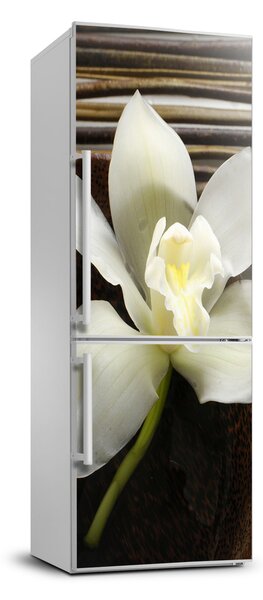 Fototapeta nálepka na chladničku Orchidea