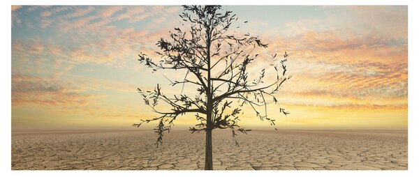 Obraz - Strom na púšti (120x50 cm)