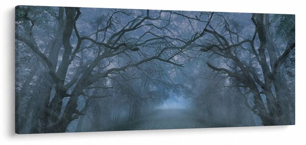 Obraz lesa v hmle (120x50 cm)