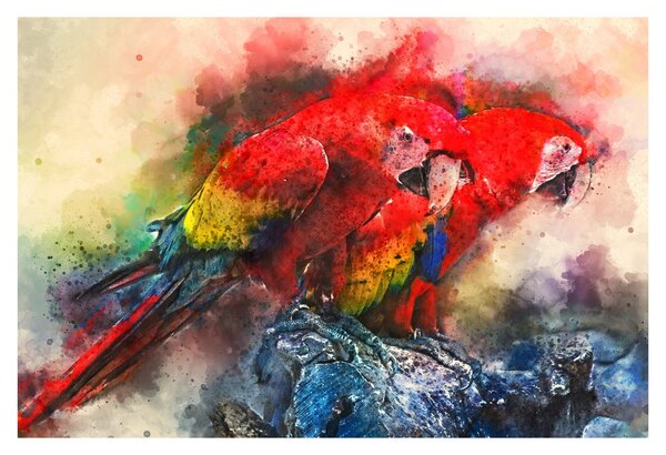 Obraz červených papagájov ara (90x60 cm)