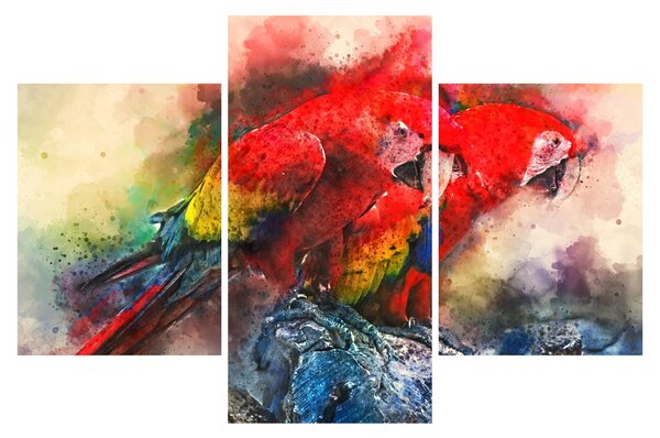 Obraz červených papagájov ara (90x60 cm)