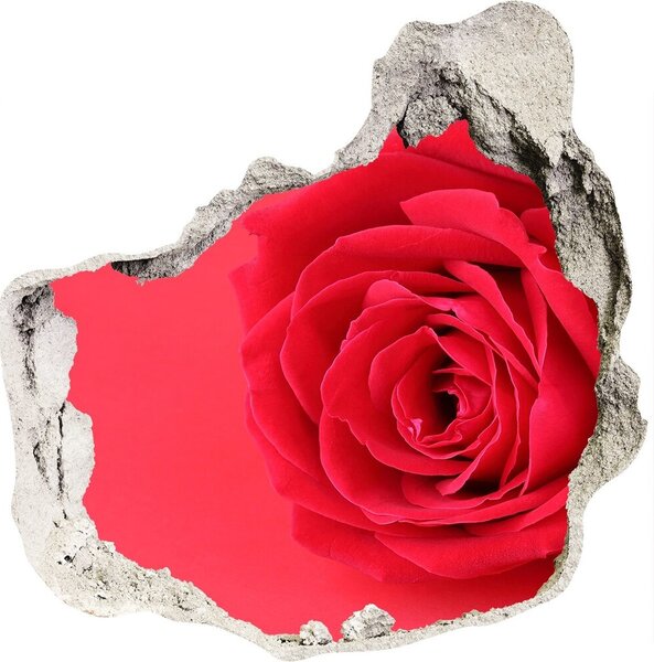 Samolepiaca diera na stenu nálepka Červená ruža