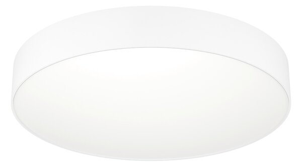STROPNÉ LED SVIETIDLO, 49,0/7,0 cm Eglo - Online Only bytové doplnky, Online Only