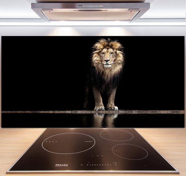 Dekoračný panel sklo Portrét leva