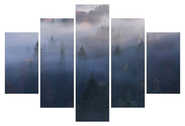 Obraz - Les v hmle, Karpaty, Ukrajina (150x105 cm)