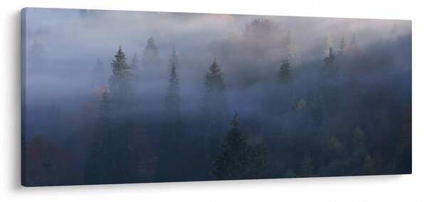 Obraz - Les v hmle, Karpaty, Ukrajina (120x50 cm)