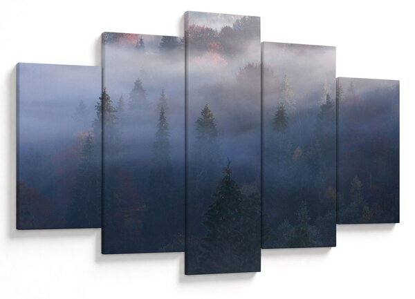 Obraz - Les v hmle, Karpaty, Ukrajina (150x105 cm)