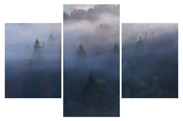 Obraz - Les v hmle, Karpaty, Ukrajina (90x60 cm)