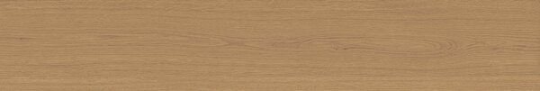 Mother COGNAC6 SL 2012 RM 20x120