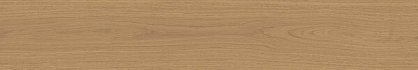 Mother COGNAC6 SL 2012 RM 20x120