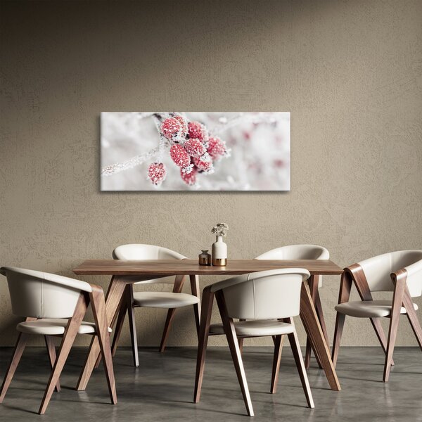 Obraz - Zamrznuté plody (120x50 cm)