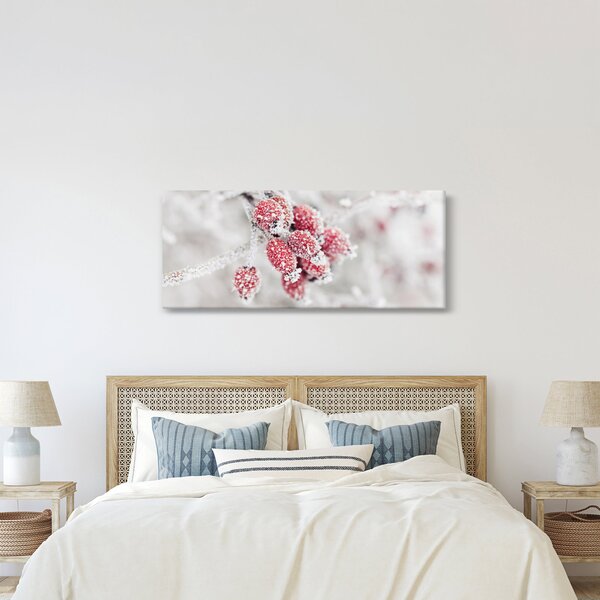 Obraz - Zamrznuté plody (120x50 cm)