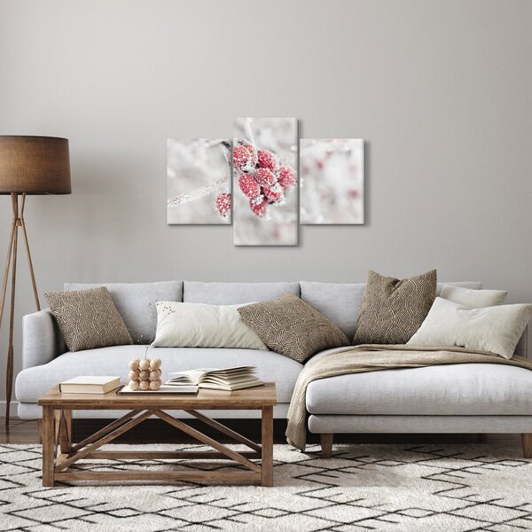 Obraz - Zamrznuté plody (90x60 cm)