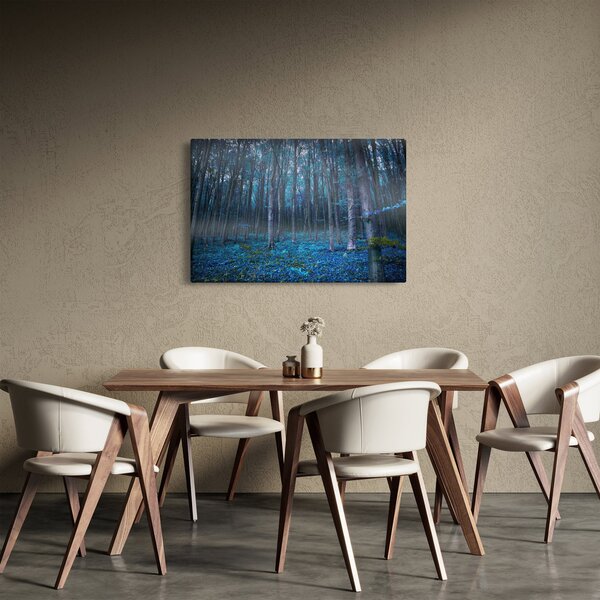 Obraz - Magický les (90x60 cm)