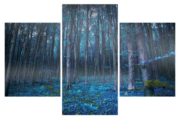 Obraz - Magický les (90x60 cm)