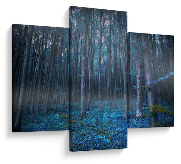 Obraz - Magický les (90x60 cm)