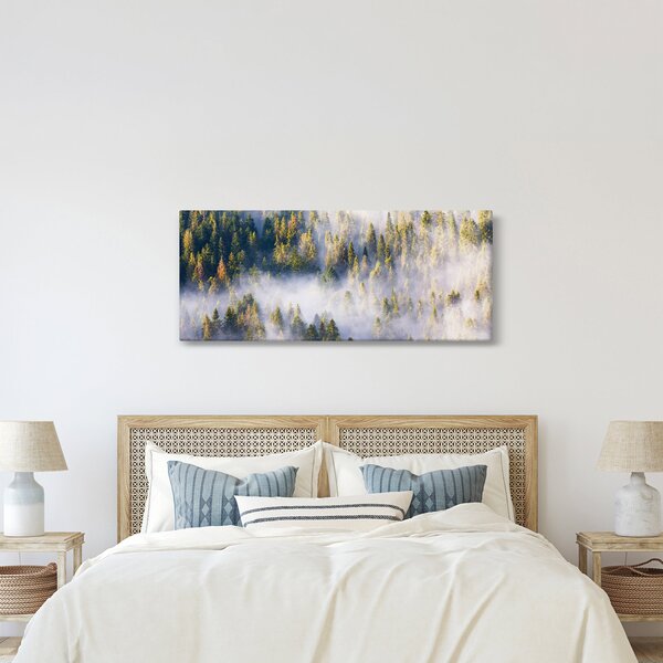 Obraz stromov v hmle (120x50 cm)