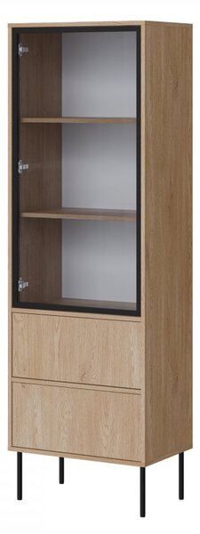 Mirjan24 Vitrína Tugba 60 2S, Farby: kašmír 5903211483028