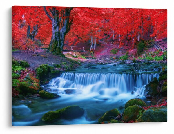 Obraz vodopádu v červenom lese (70x50 cm)