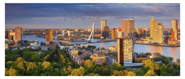 Obraz - Panorama Rotterdamu, Holandsko (120x50 cm)