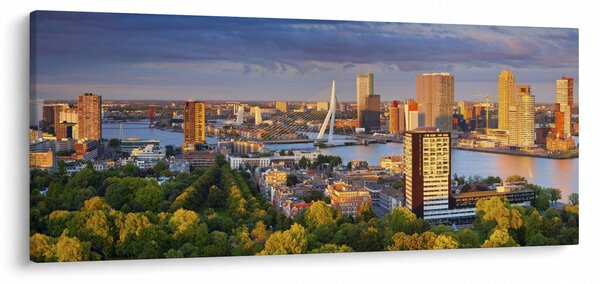 Obraz - Panorama Rotterdamu, Holandsko (120x50 cm)
