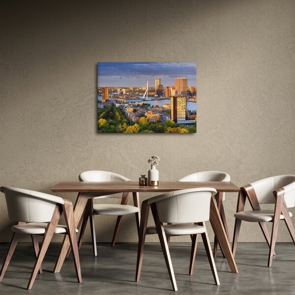 Obraz - Panorama Rotterdamu, Holandsko (70x50 cm)