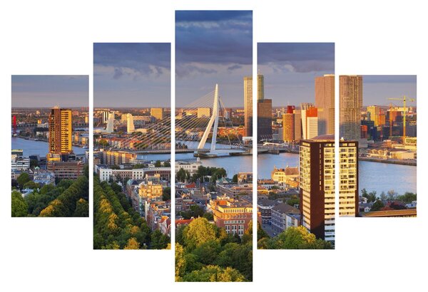 Obraz - Panorama Rotterdamu, Holandsko (150x105 cm)