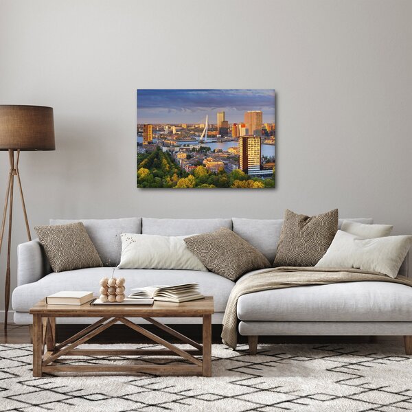 Obraz - Panorama Rotterdamu, Holandsko (70x50 cm)