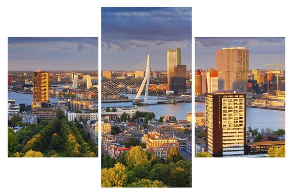 Obraz - Panorama Rotterdamu, Holandsko (90x60 cm)