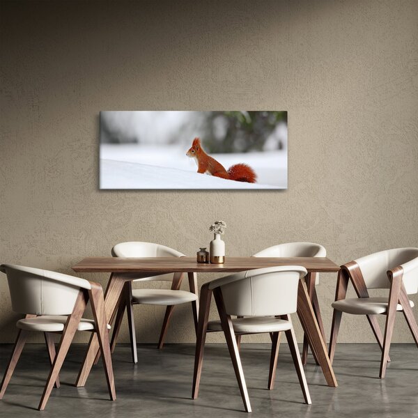 Obraz veveričky (120x50 cm)