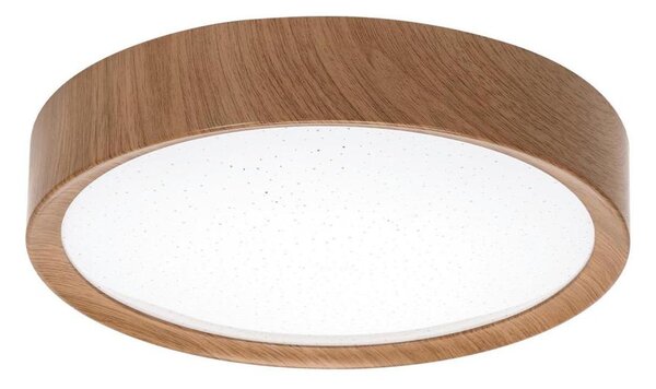 BRILAGI - LED stropné svietidlo NATURA LED/12W/230V 4000K pr. 26,3 cm